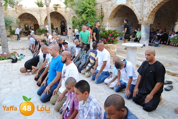 mahmoduia 3eed 808 (35).JPG